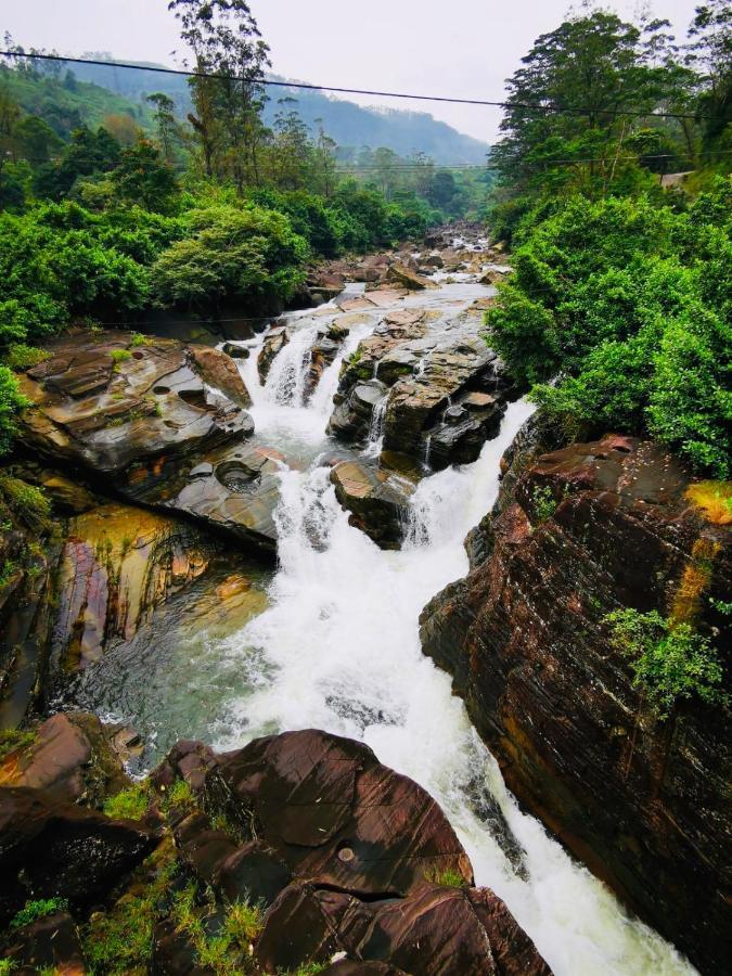 Butterfly Mountain Lake Side Maskeliya ภายนอก รูปภาพ