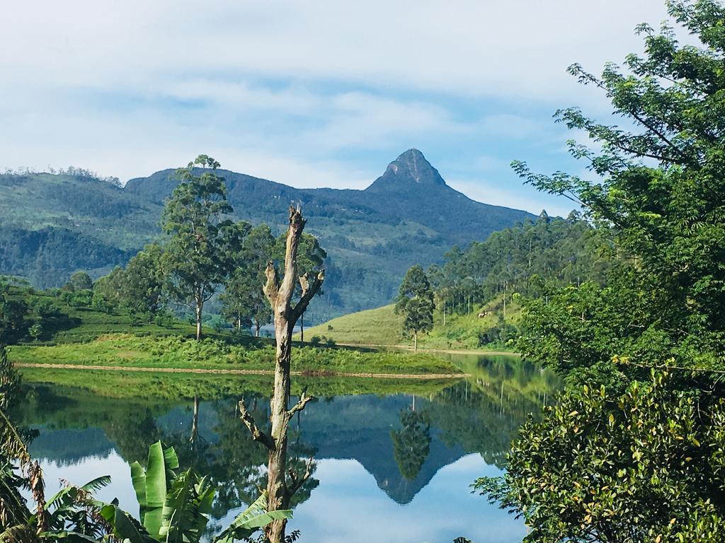 Butterfly Mountain Lake Side Maskeliya ภายนอก รูปภาพ