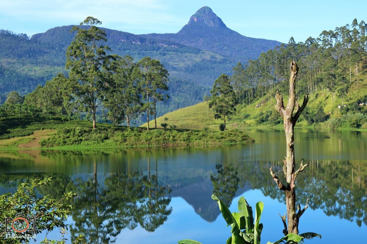 Butterfly Mountain Lake Side Maskeliya ภายนอก รูปภาพ