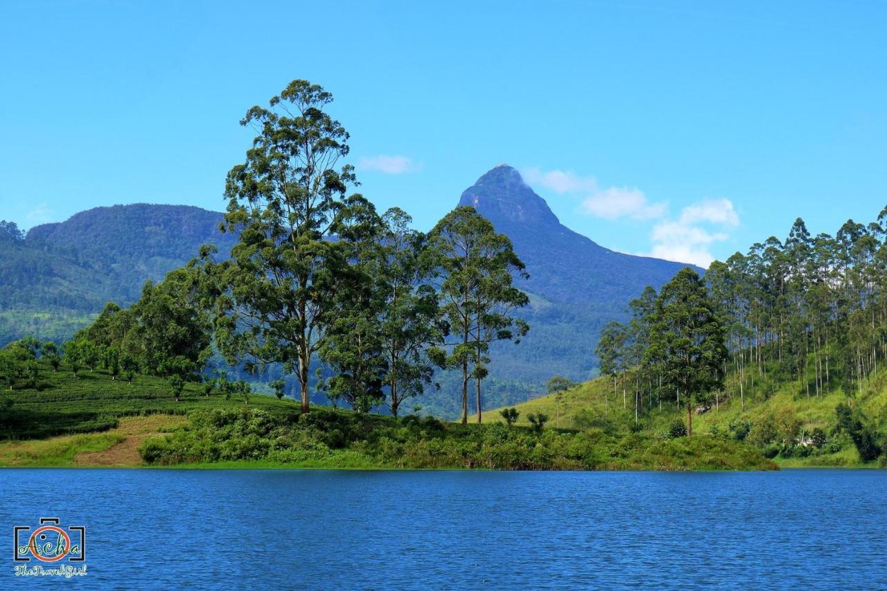Butterfly Mountain Lake Side Maskeliya ภายนอก รูปภาพ